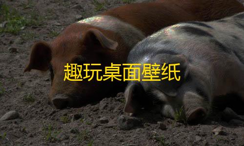 第五人格透视挂安装趣玩桌面壁纸